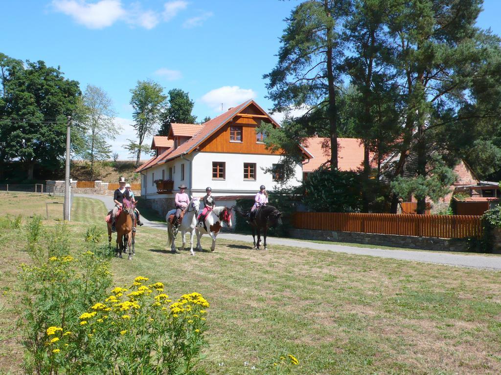 Гостевой дом Jonasuv Mlyn Zhor u Mlade Vozice Экстерьер фото